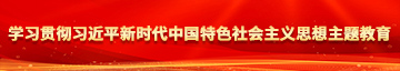 女八操BBB学习贯彻习近平新时代中国特色社会主义思想主题教育